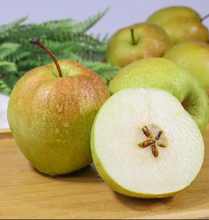 山西隰县玉露香梨