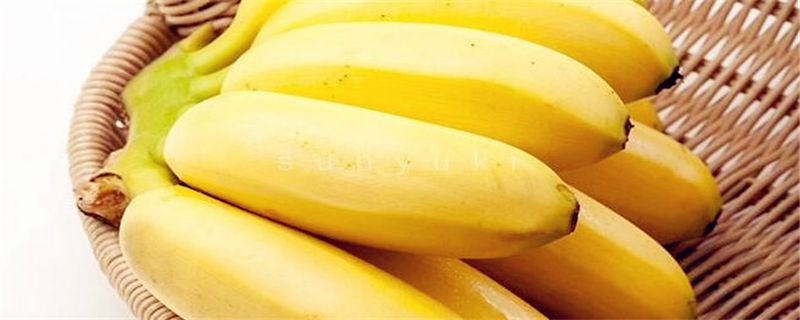 供应广西玉林红香蕉苗与粉蕉苗与西贡蕉苗专题