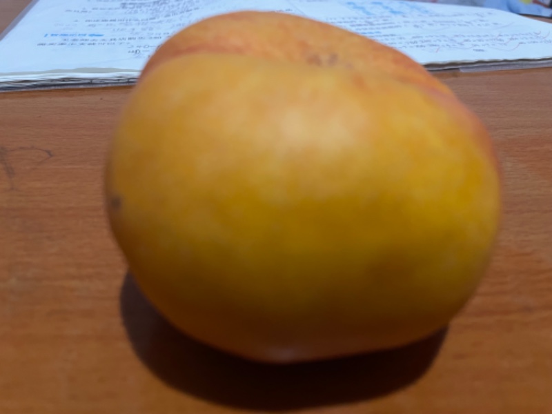 各种油桃，毛桃，蟠桃