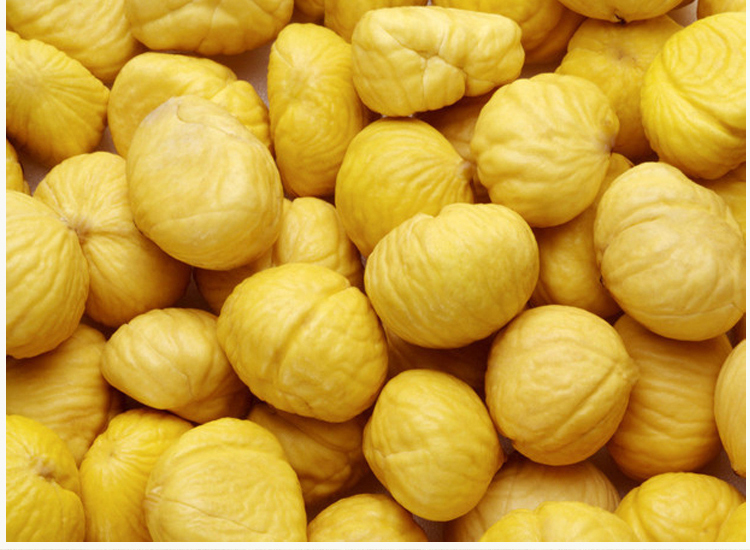 供应广西玉林板栗苗和枇杷苗和杨梅苗简介