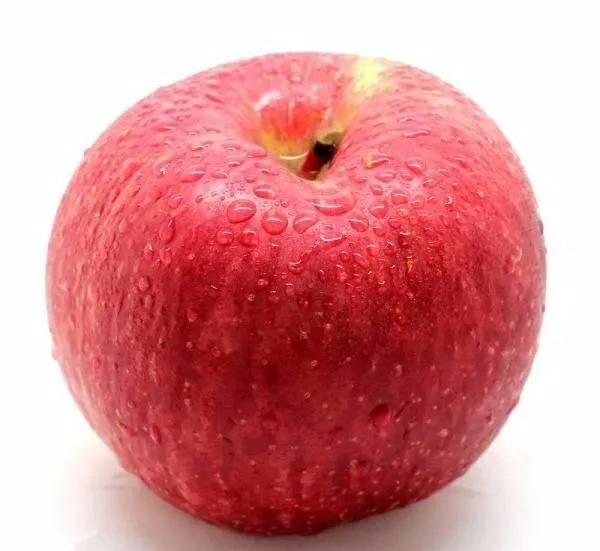 大量供应山西运城万荣、临猗坡上优质膜袋、纸加膜（条纹红、片红）糖心红富士苹果，个头大、颜色红、口感好、果面干净、还有各种油桃，毛桃，葡萄红香酥梨酥梨、玉露香梨等欢迎你前来收购。本代办诚信为本，信誉笫一