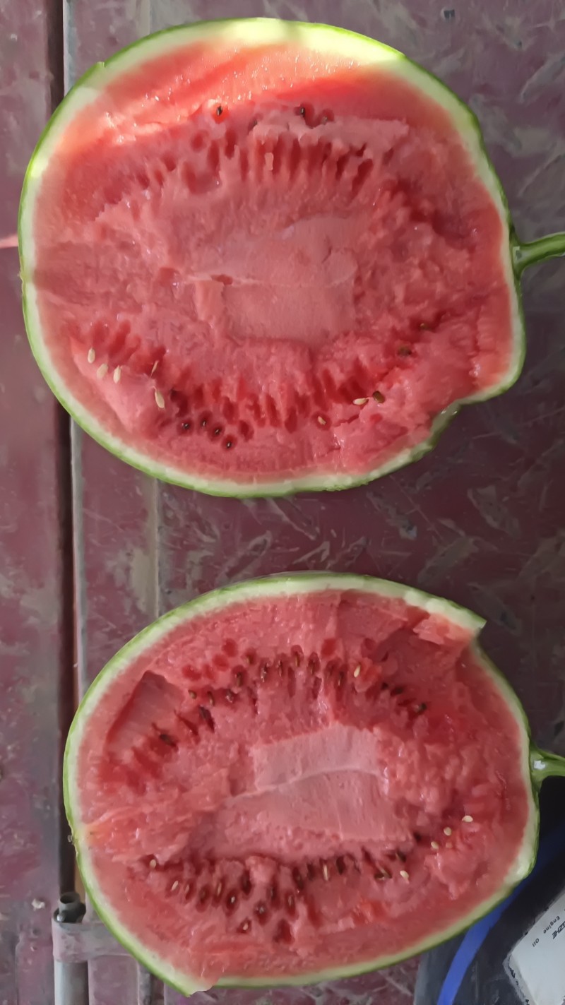 西瓜