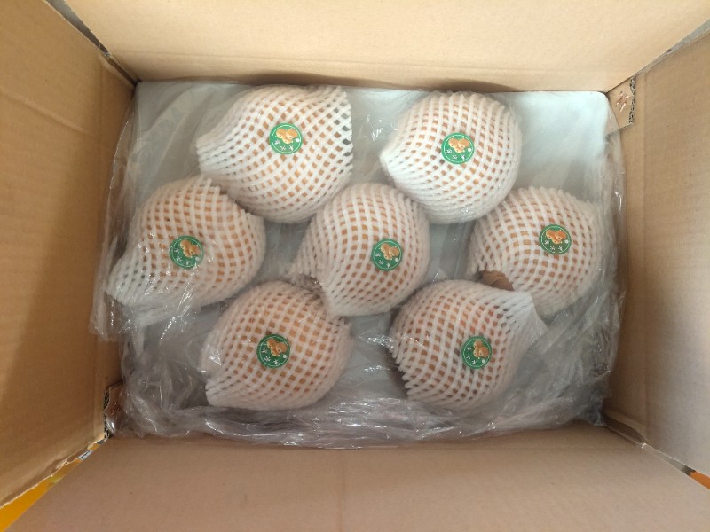 晚秋梨 丰水梨  秋月梨等