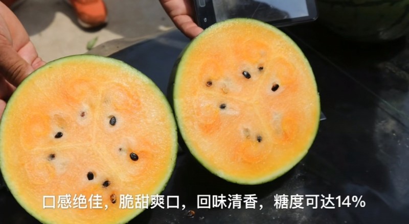 多彩冰淇淋西瓜