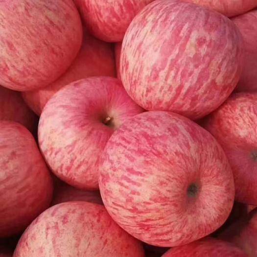 山东烟台每年大量红富士~巨峰葡萄各种水果