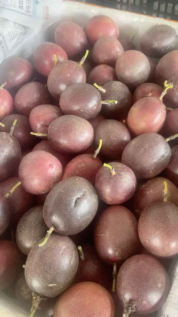 台农百香果红果