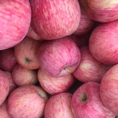 山东红富士苹果产地批发供应