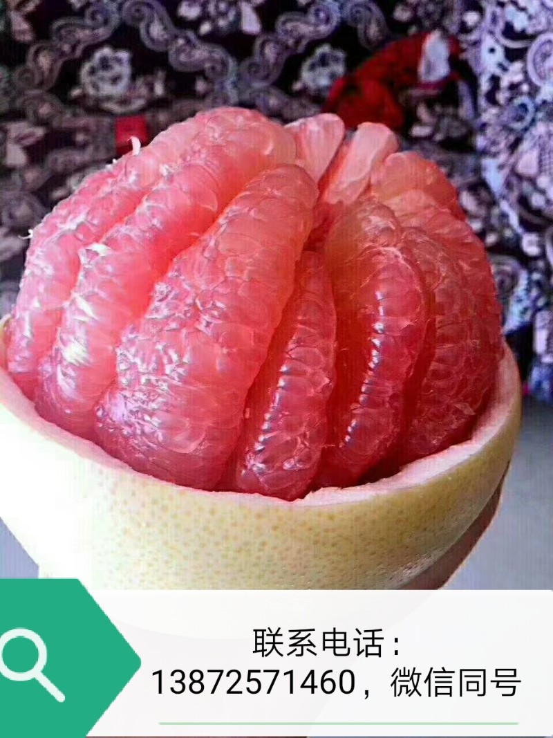 湖北宜昌三峡蜜柚出售/蜜桔批发