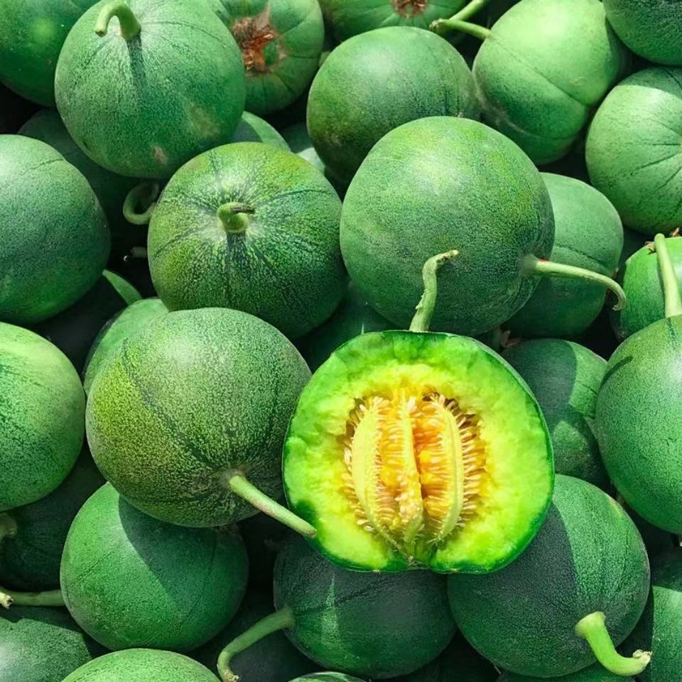 东北绿宝 绿宝石 绿宝甜瓜