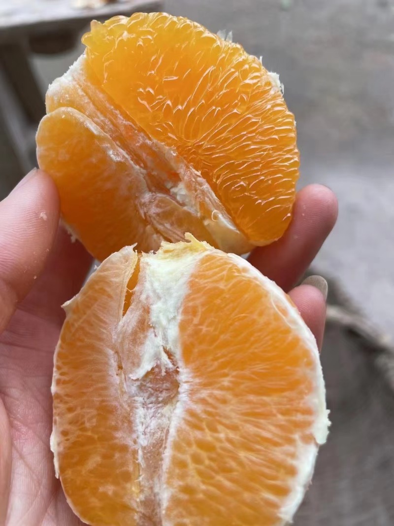 纽荷尔，邻水脐橙，血橙批发