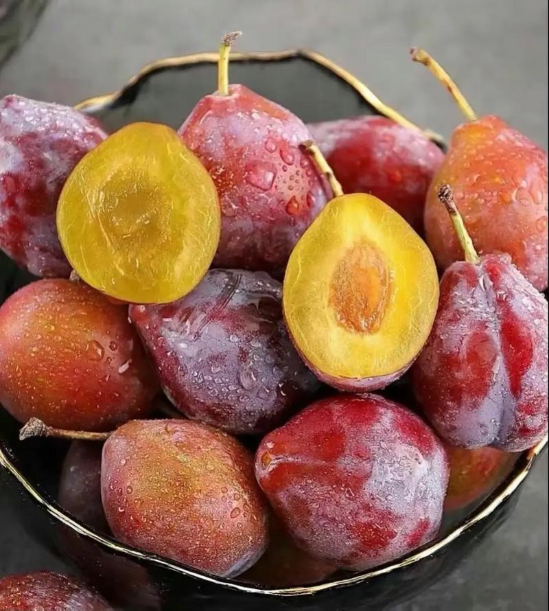 法兰西梅，陕西法兰西梅，新疆法兰西梅，法兰西梅产地批发价格