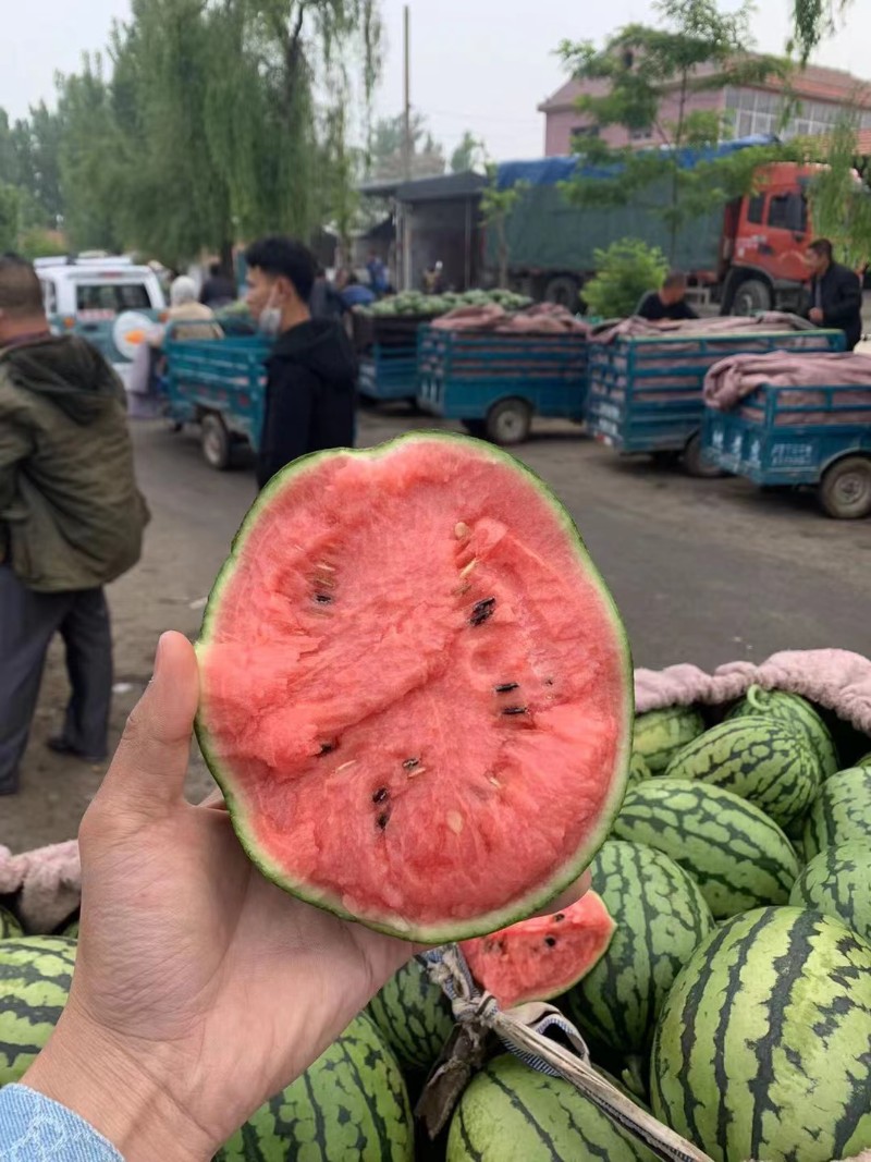 2k小糖丸西瓜产地直供货源充足价格便宜