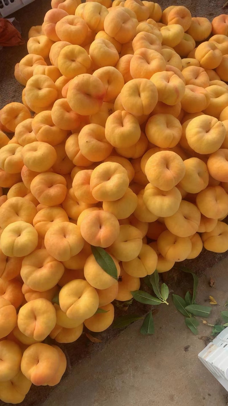 蜜桃，毛桃，油蟠桃