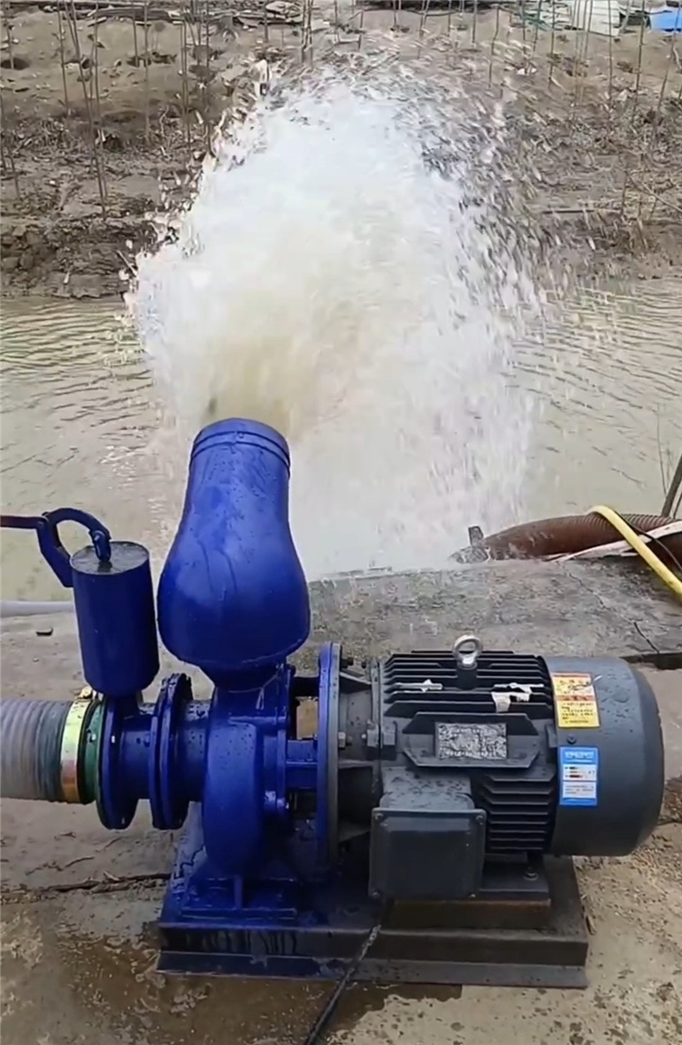 果园高压水泵喷灌机 卷盘机大流量浇地水泵 果树灌溉抽水泵
