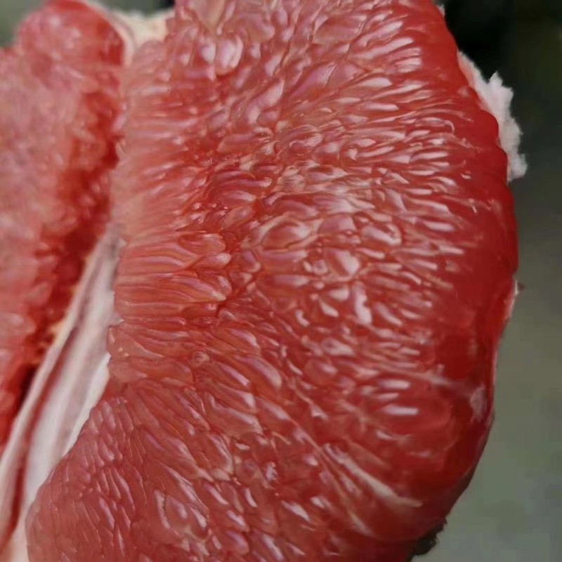 电商供货红心柚，白柚对接超市，社区团购供应链。欢迎来电，20262026505。