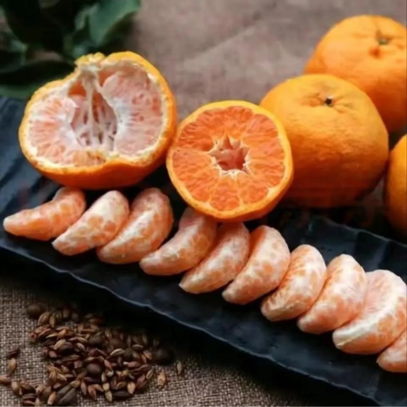 四川成都双流万亩果园