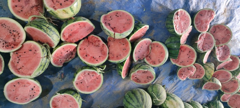 广东产区麒麟美都西瓜