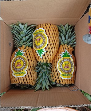海南凤梨5斤净果一件代发包邮