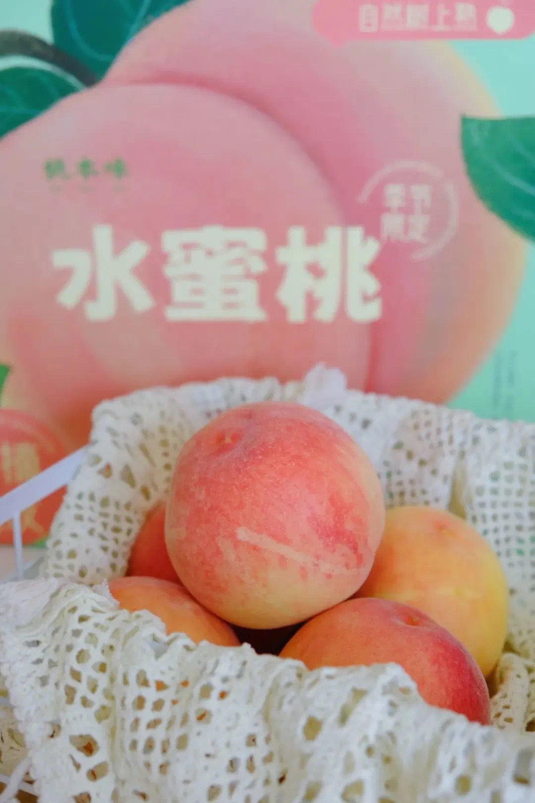 陕西省渭南市临渭区孝义镇